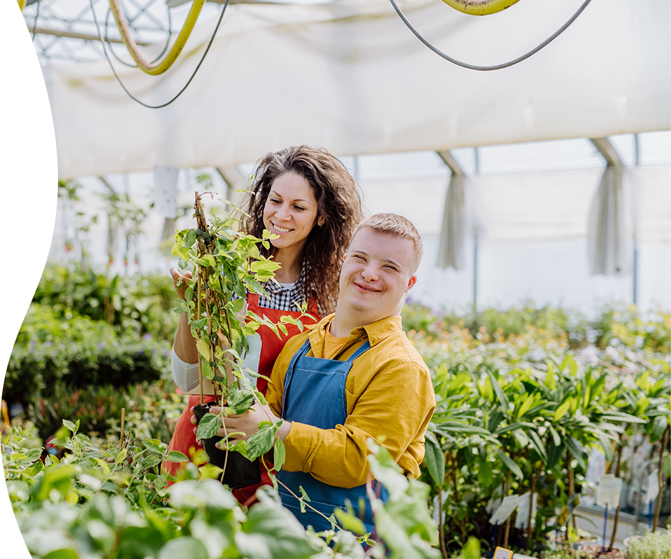 A support worker and a young man tending plants in a greenhouse